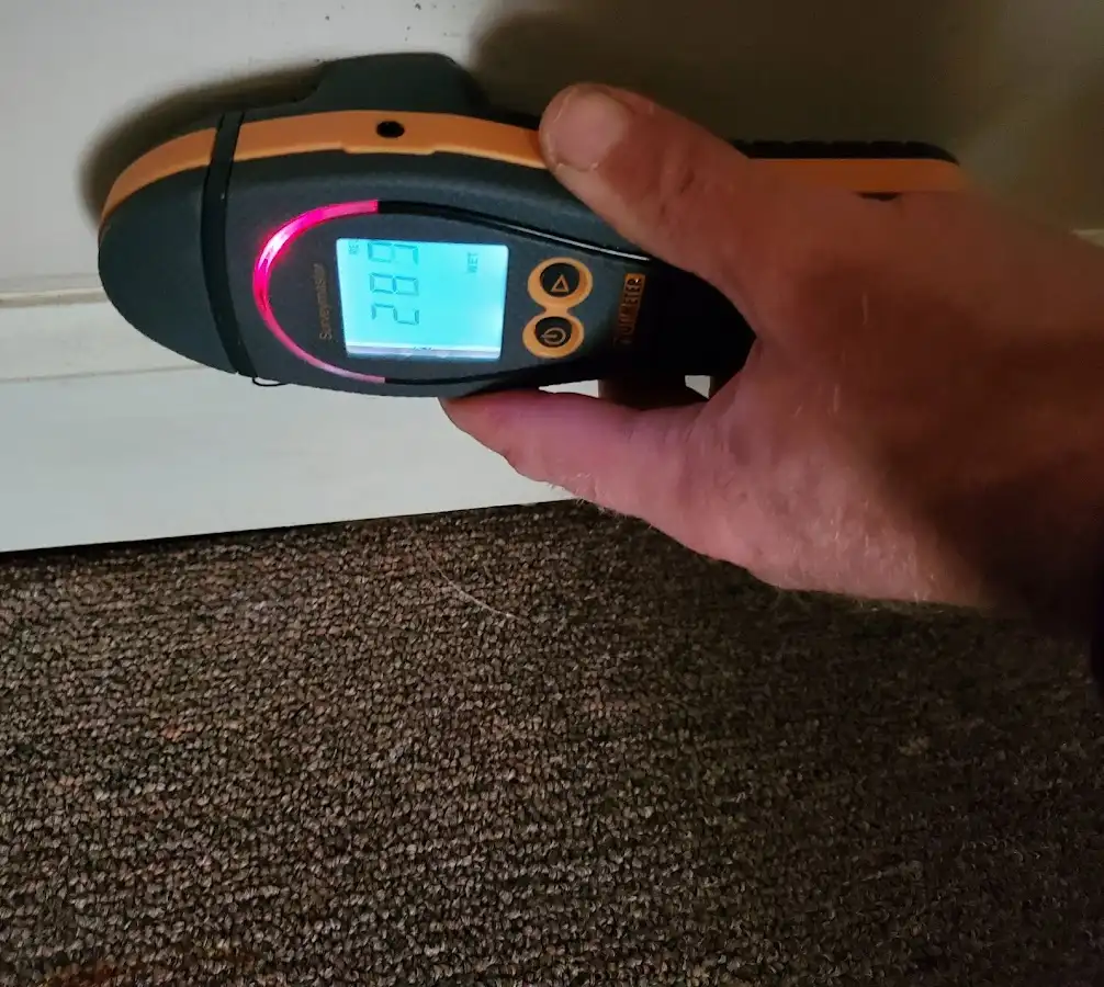 Moisture detection at baseboard during Burst Pipe Cleanup in Waianae